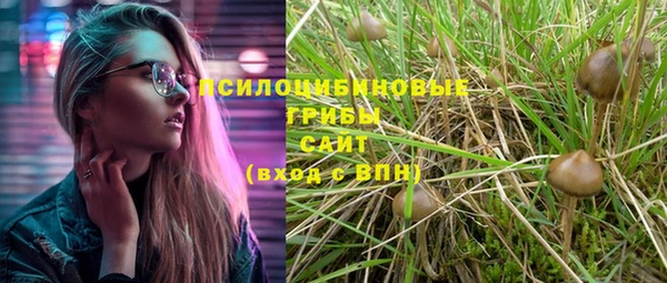 дурь Новодвинск