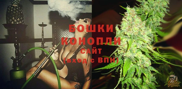 молекула духа Няндома