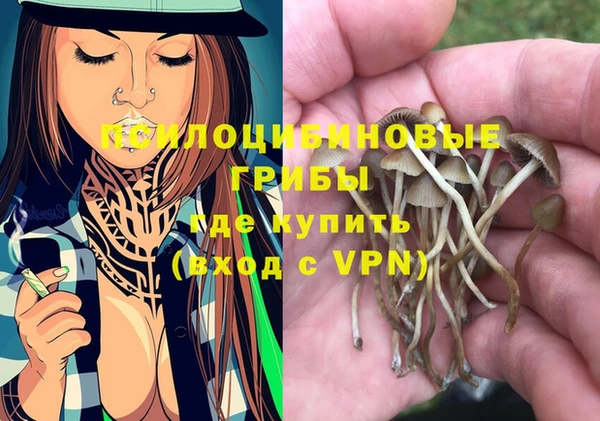 ECSTASY Новозыбков