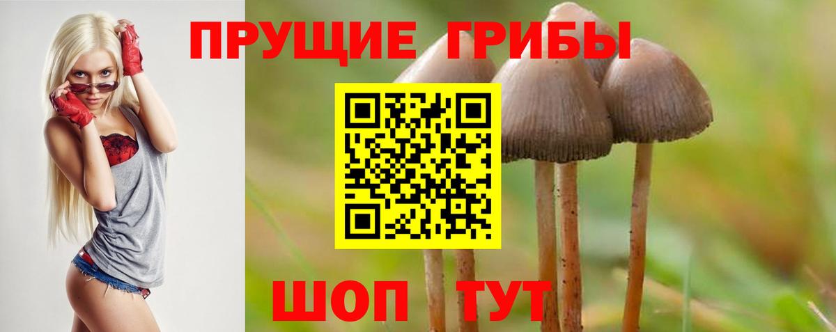 Псилоцибиновые грибы GOLDEN TEACHER Нижнеудинск